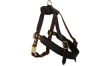 Angel Pet Supplies - Aspen Leather Harness - Brown - Xlarge